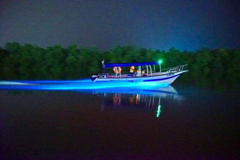 Kuala Lumpur: Kuala Selangor Fireflies and Blue Tears Tour - Final Thoughts