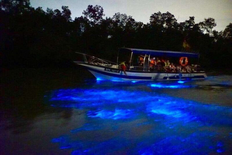 Kuala Lumpur: Kuala Selangor Fireflies and Blue Tears Tour - Who Should Consider This Tour?