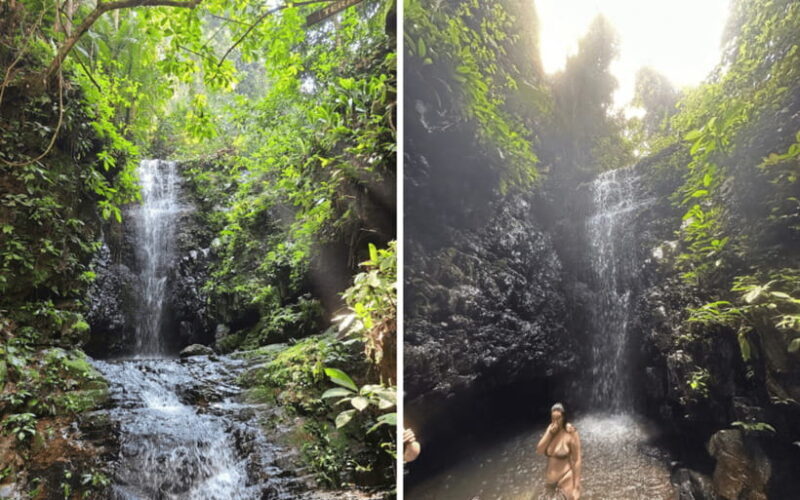 Kuala Lumpur: Taman Negara National Park Teras Waterfall - An In-Depth Look at the Taman Negara Day Trip