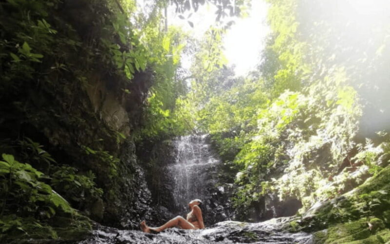 Kuala Lumpur: Taman Negara National Park Teras Waterfall - Who Will Love This Tour?