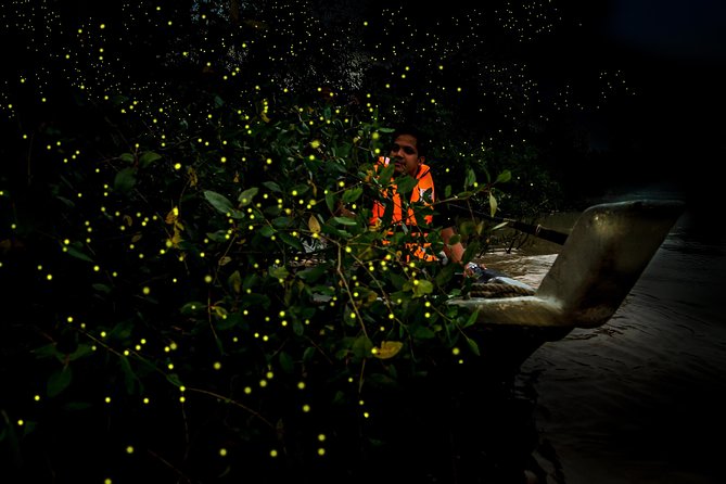 Kuala Selangor Fireflies - Batu Caves Temple- Malawati Hill DayTour With Dinner - Transportation and Accessibility