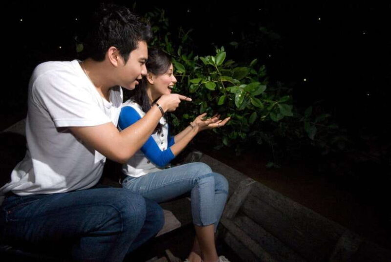 Kuala Selangor: Firefly and Blue Tears Tour - A Detailed Look at the Kuala Selangor Firefly & Blue Tears Tour