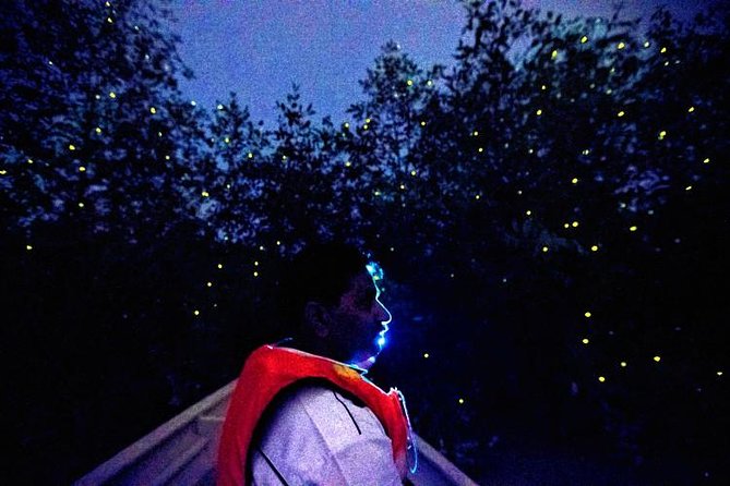 Kuala Selangor Firefly Boat Tour With Roundtrip Transfer From Kuala Lumpur - Fort Altingsburg and Silvered Leaf Monkeys