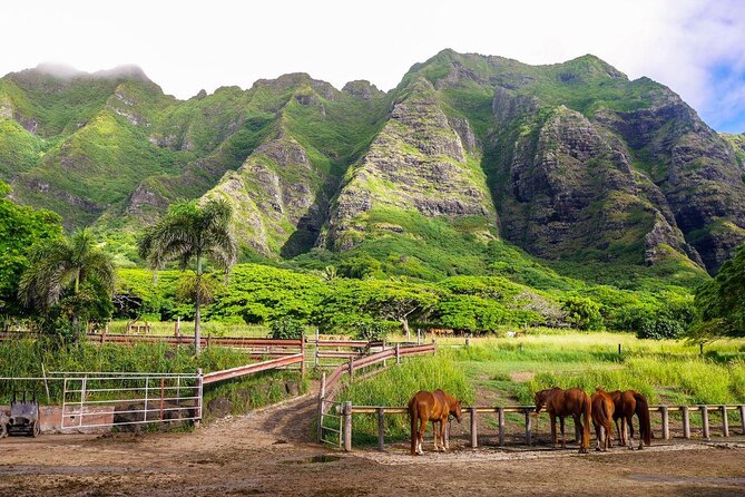 Kualoa Ranch - Kualoa Grown Tour - Good To Know