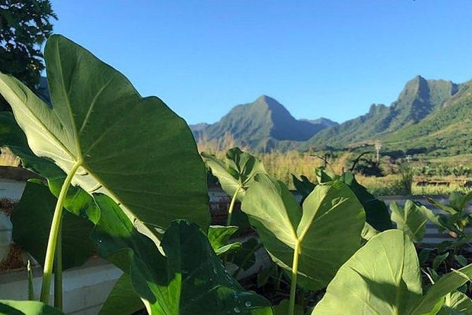 Kualoa Ranch - Kualoa Grown Tour - Additional Tour Details