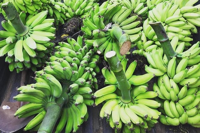 Kualoa Ranch - Kualoa Grown Tour - Exploring the Orchards and Gardens