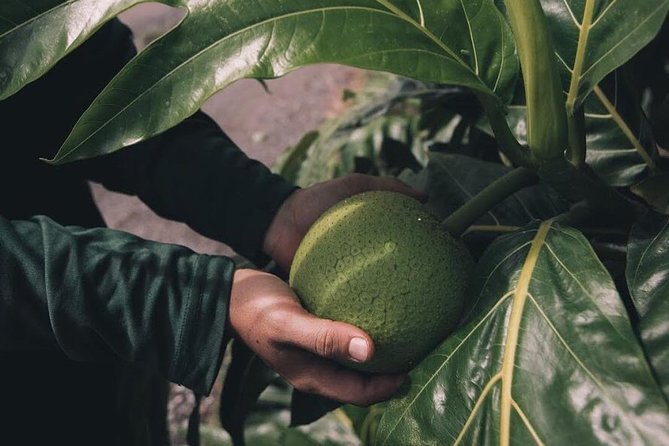 Kualoa Ranch - Kualoa Grown Tour - Polynesian Canoe Ride Adventure