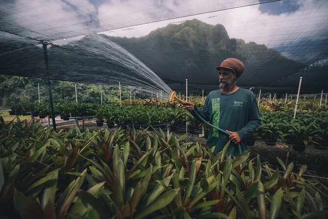 Kualoa Ranch - Kualoa Grown Tour - Connecting With Local Culture and History