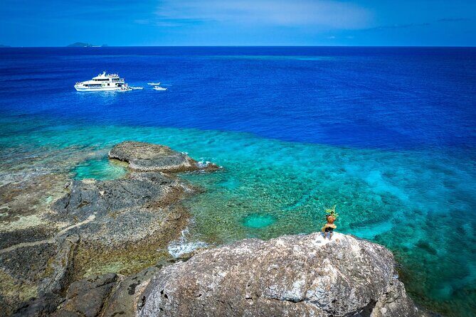 Kuata Island Marine Conservation Experience with Lunch - Key Points