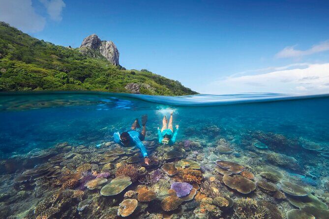 Kuata Island Marine Conservation Experience with Lunch - What You’ll Do During the Day