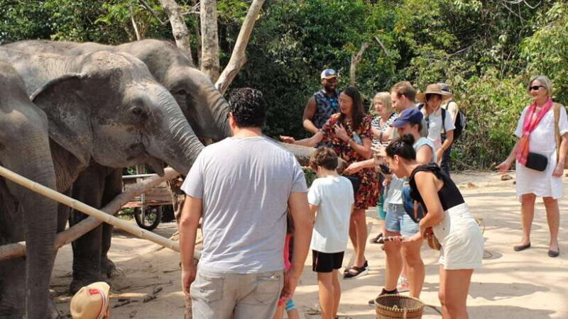 Kulen Elephant Forest and Banteay Srei Temple Tour - Key Points