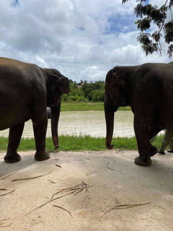 Kulen Elephant Forest & Floating Village Private Tour - Transportation and Duration