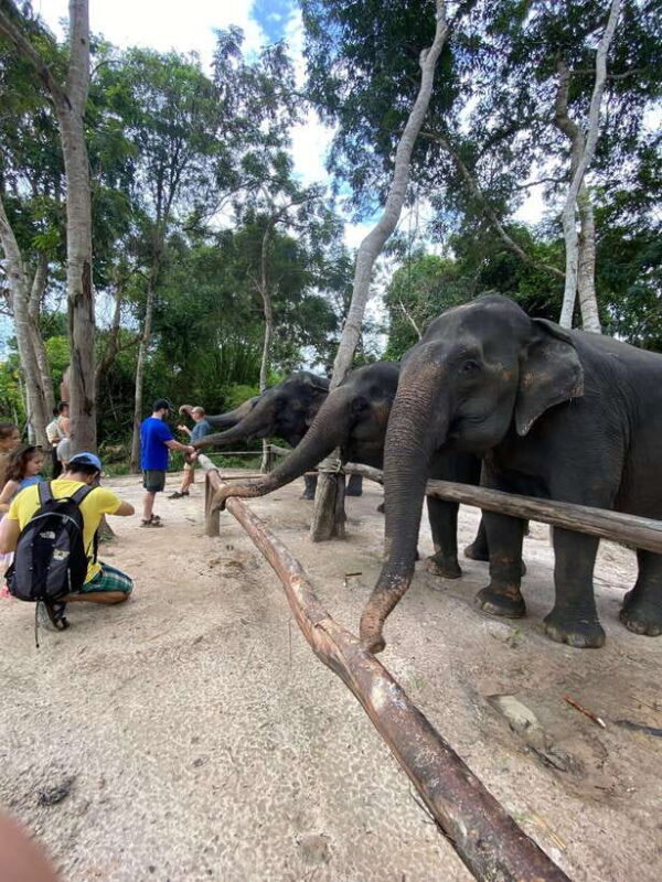 Kulen Elephant Forest & Floating Village Private Tour - FAQs