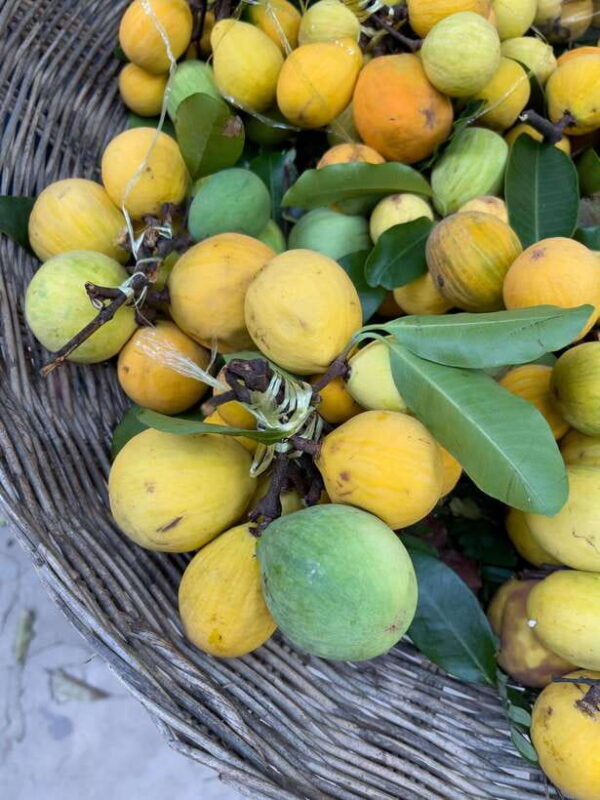 Kulen Mountain & Walking Tour - A Traditional Cambodian Lunch