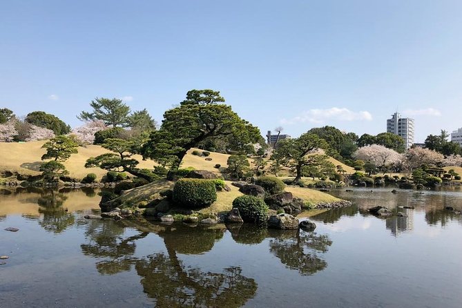 Kumamoto Full-Day Private Tour With Government-Licensed Guide - Accessibility