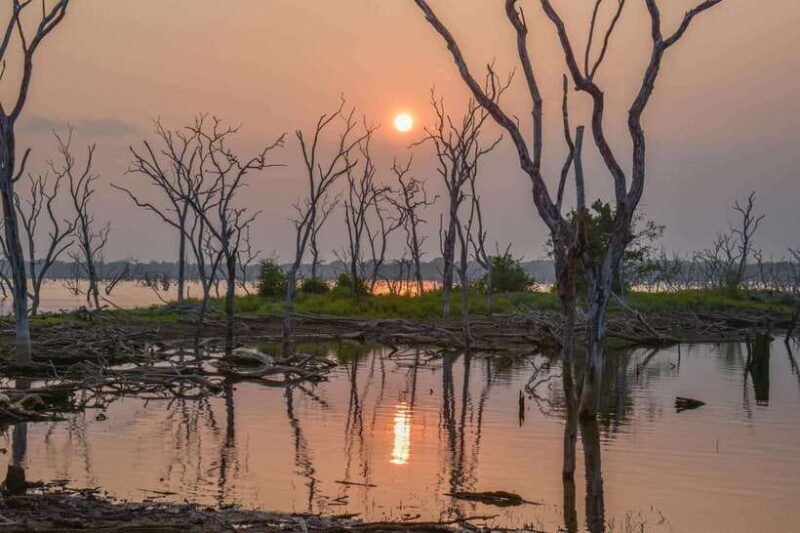Kumana National Park Leopard Safari PRIVATE Tour - Final Thoughts