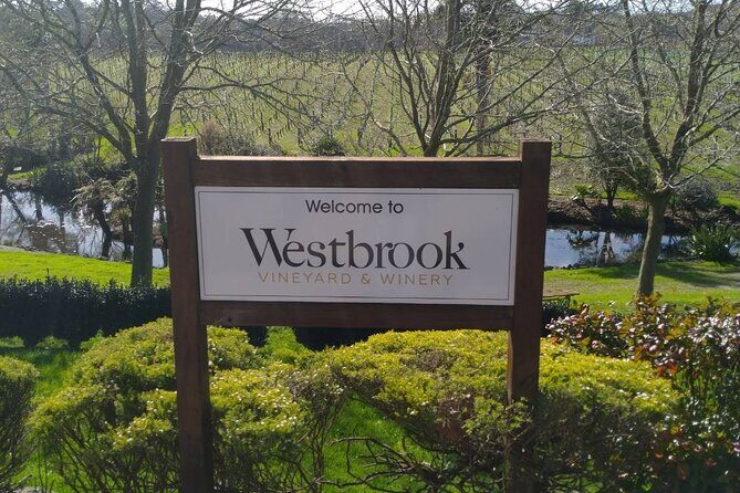 Kumeu Winery Boutique Tour with Gourmet Lunch from Auckland - Who Is This Tour Best For?