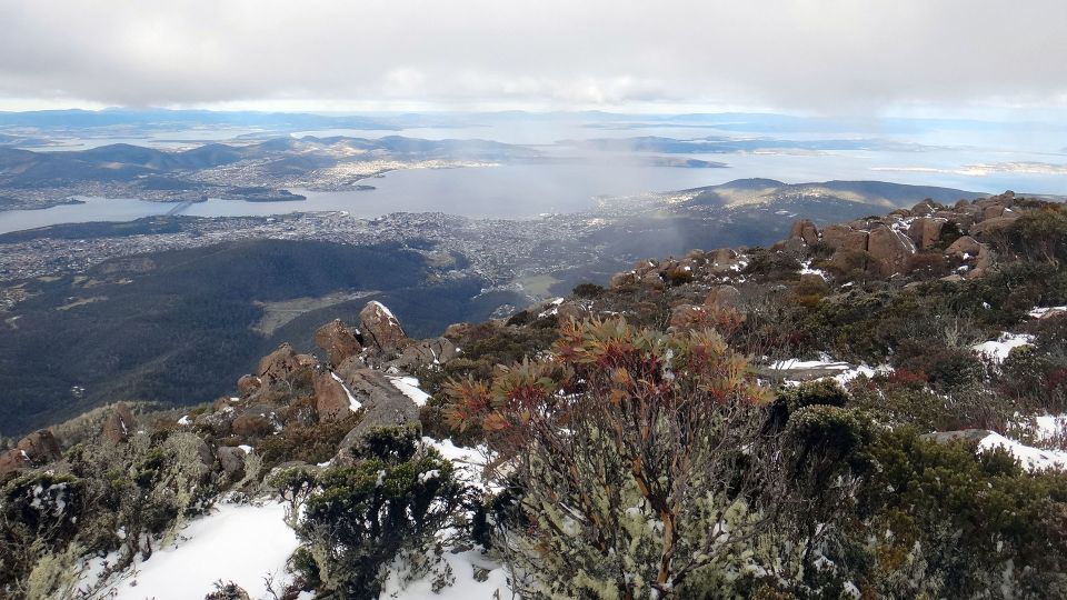 Kunanyi & Mt Wellington Explorer Bus: One-Way Bus Pass - Food/Water Availability and Bike Reservations
