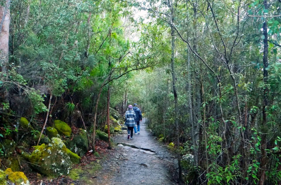 Kunanyi & Mt Wellington Explorer Bus: One-Way Bus Pass - Customer Reviews and Directions