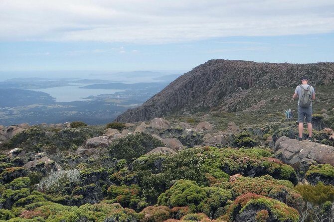 kunanyi/Mt Wellington Explorer Bus - One Way Tour - What Makes This Tour Stand Out  