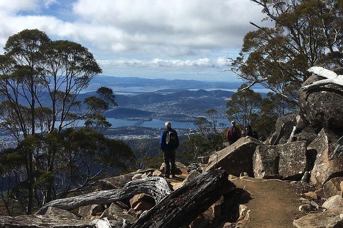 kunanyi/Mt Wellington Explorer Bus - One Way Tour - FAQ  