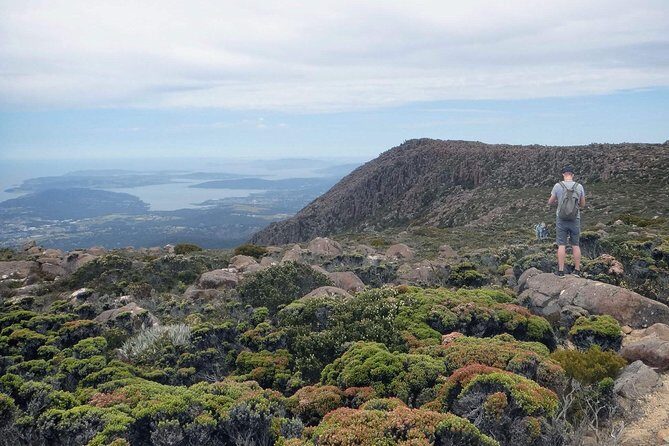 kunanyi/Mt Wellington Explorer Bus- Return Tour (2.5 hours) - Who Should Take This Tour?
