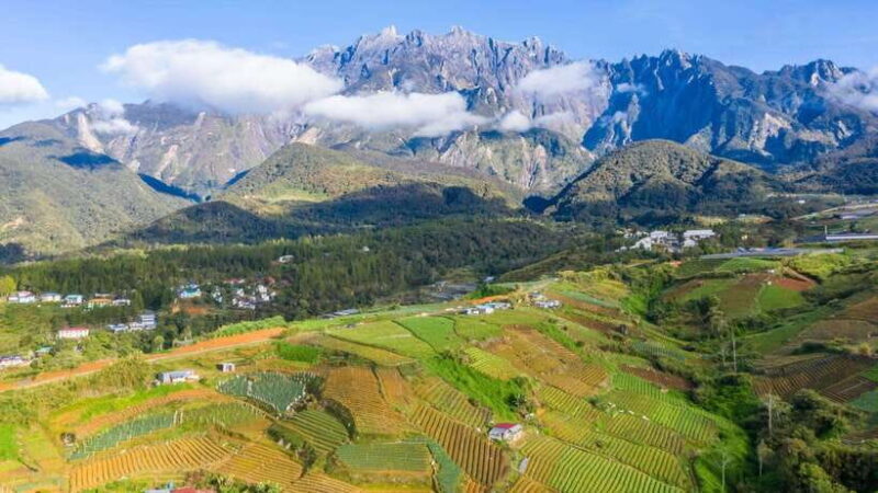 Kundasang: Day Tour with Desa Dairy Farm and Alpaca Club - An In-Depth Look at the Kundasang Day Tour