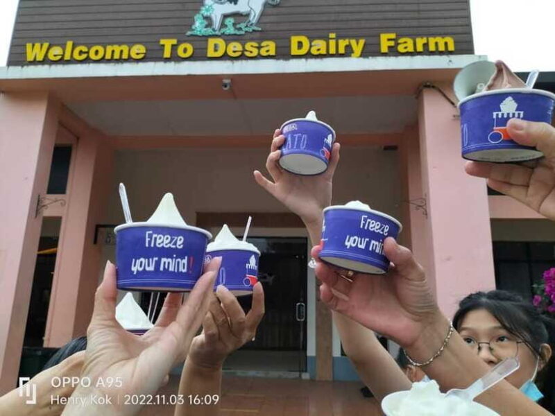 Kundasang : Poring Hot Spring + Desa & Meal Shared Tour - Who Will Love This Tour?