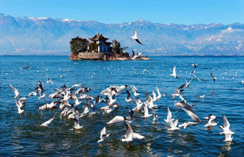 Kunming: 7-Day Yunnan Highlights Tour - FAQ