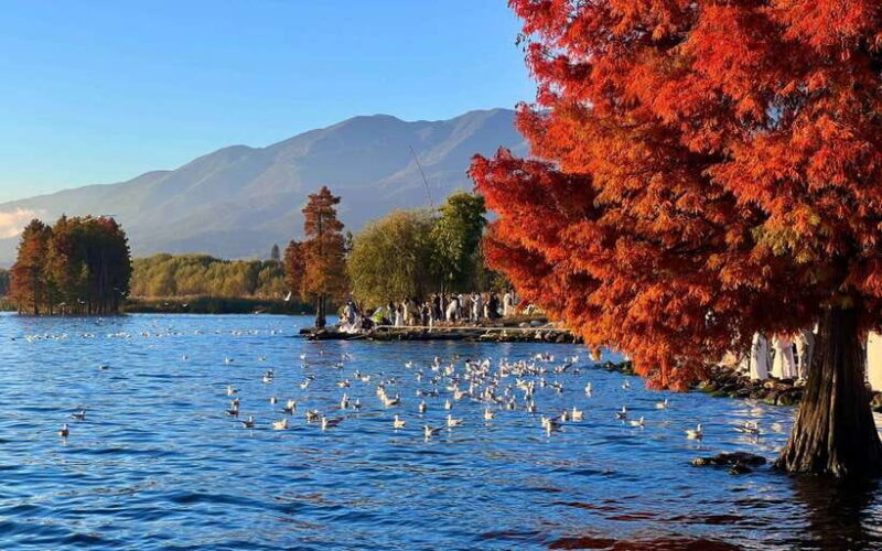Kunming: 8-Day Yunnan Impression Tour - Key Points