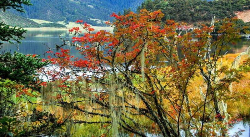 Kunming: 8-Day Yunnan Impression Tour - Day 1: Arrival in Kunming and First Impressions