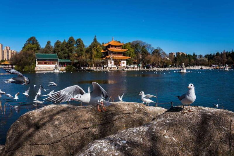 Kunming: 8-Day Yunnan Tour with Dali and Lijiang - The Value of the Tour