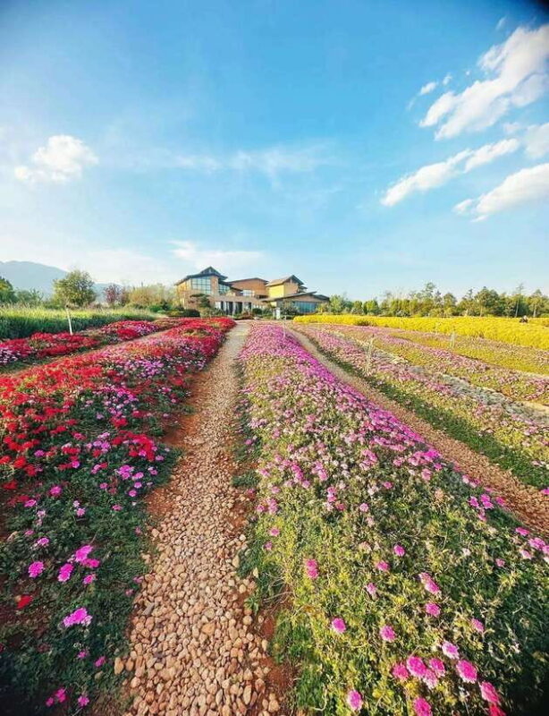 Kunming: Fuxian Lake Private Tour - Frequently Asked Questions