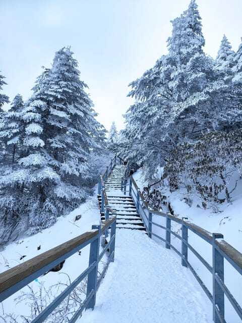 Kunming: Jiaozi Snow Mountain Overnight with Sunrise Hiking - Final Thoughts: Who Will Love This Tour?