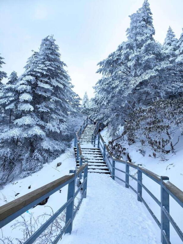 Kunming: Jiaozi Snow Mountain Overnight with Sunrise Hiking - FAQ