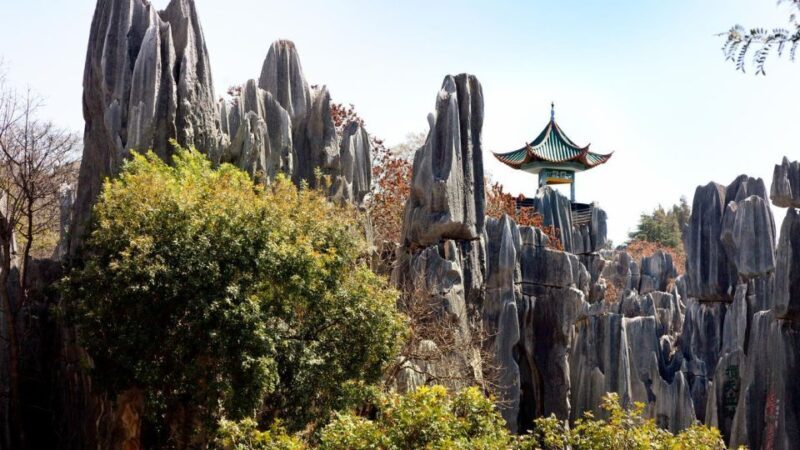 Kunming: Private Half Day Tour of Stone Forest Park w/Option - Key Points