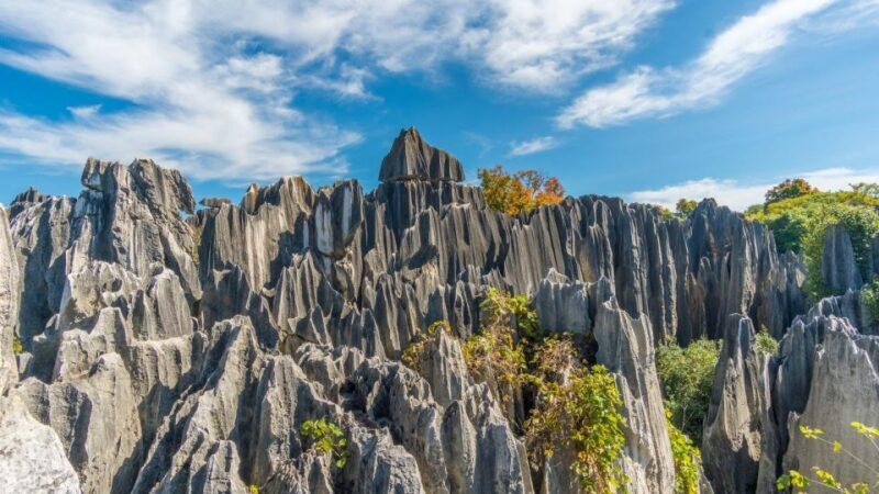 Kunming: Private Half Day Tour of Stone Forest Park w/Option - Real Travelers’ Insights
