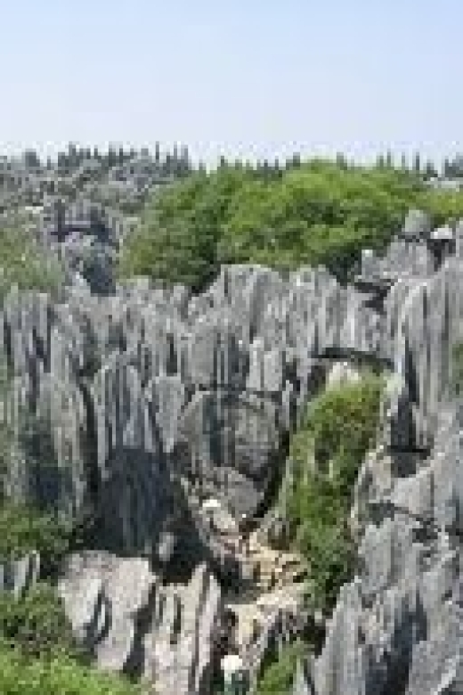 Kunming: Stone Forest Private Day Tour - Key Points  