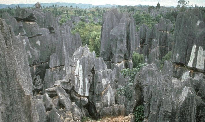 Kunming: Stone Forest Private Day Tour - Why the Guide Matters: Stories and Insights