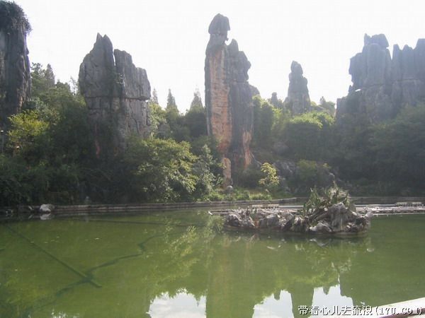 Kunming: Stone Forest Private Day Tour - The Experience of Visiting the Stone Forest
