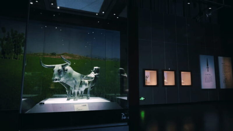Kunming: Yunnan Provincial Museum Entry Reservation - Who Should Consider Visiting?
