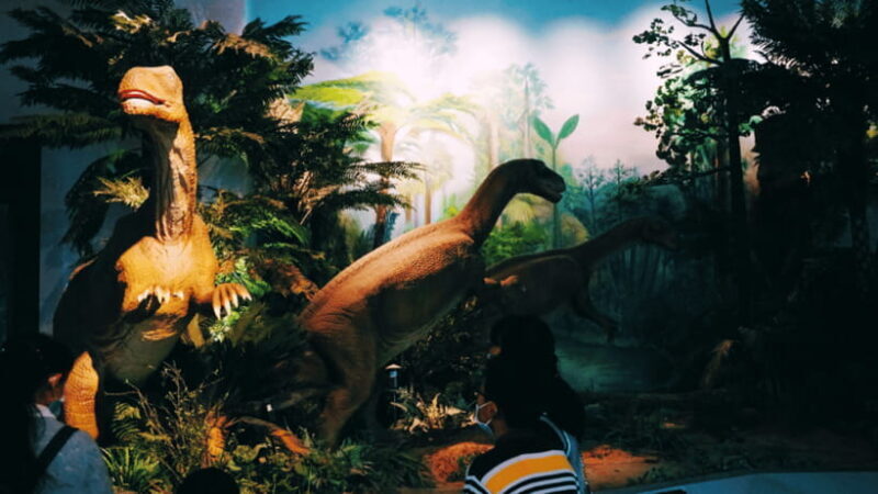 Kunming: Yunnan Provincial Museum Entry Reservation - FAQ