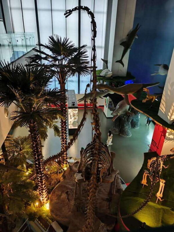 Kunming: Yunnan Provincial Museum Private Tour (Half Day) - Key Points