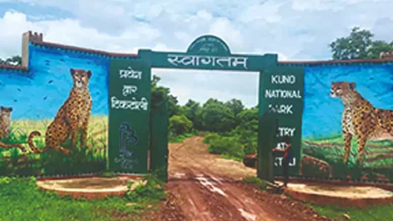 Kuno National Park Tour 3 Nights 4 Days - Good To Know