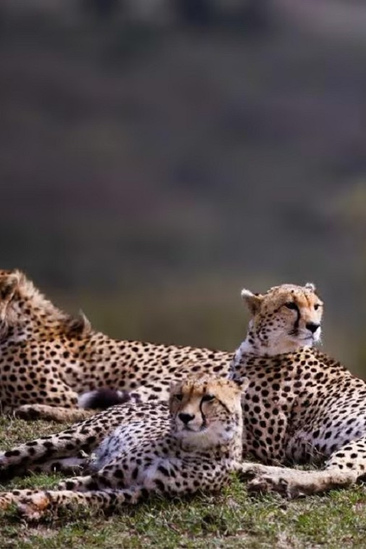 Kuno National Park Tour 3 Nights 4 Days - Itinerary Highlights