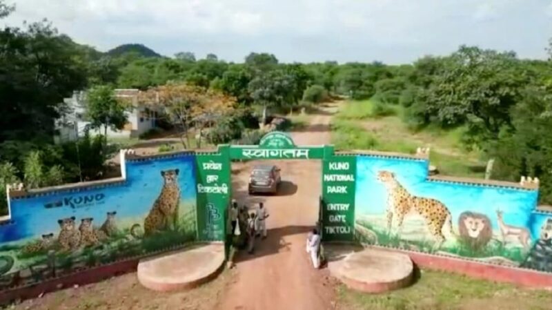 Kuno National Park Tour 3 Nights 4 Days - Safari Experiences