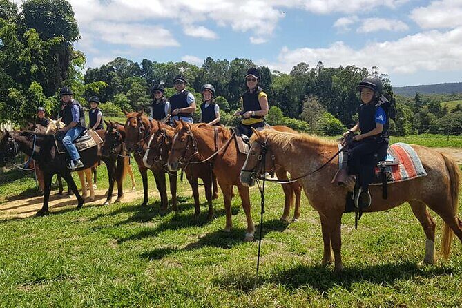 Kuranda 60 minute Horse Trail Ride and Petting Farm - Experience Breakdown: What to Expect from the Tour