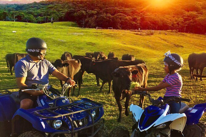 Kuranda 60 minute Quad Bike Experience and Petting Farm - The Value and Price Analysis