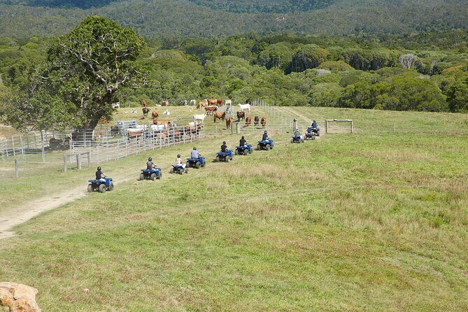 Kuranda 60 minute Quad Bike Experience and Petting Farm - Frequently Asked Questions