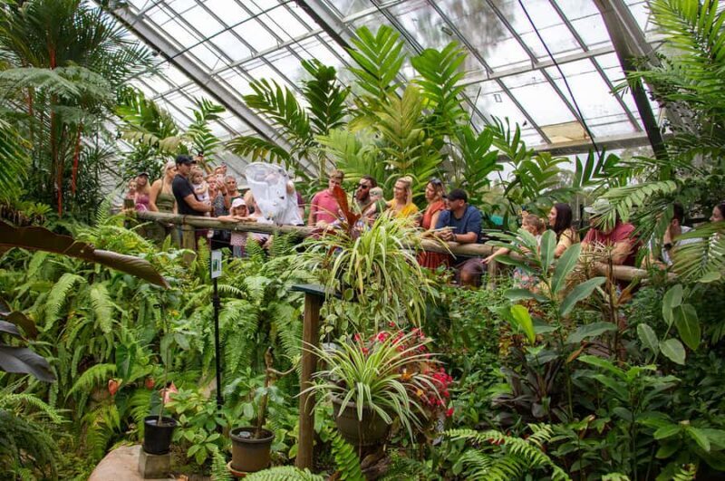 Kuranda: Australian Butterfly Sanctuary - Key Points